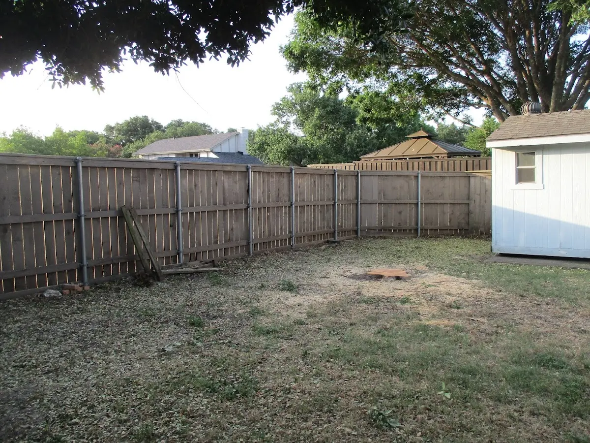 Cleared yard after professional tree removal in Lewiston Woodville